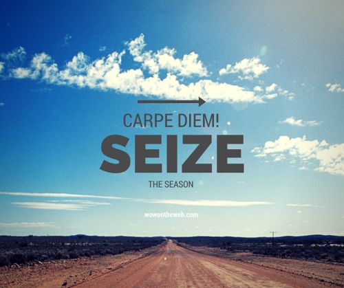 Seize The Season! by Earma Brown, Author